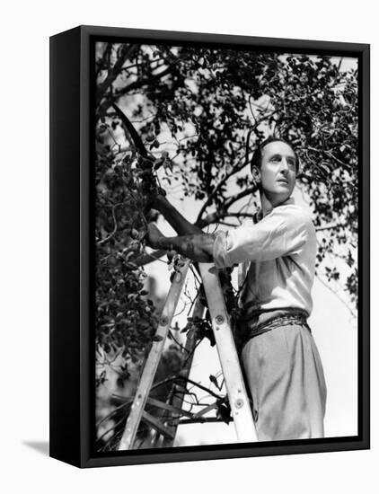 Basil Rathbone, c.1944-null-Framed Stretched Canvas