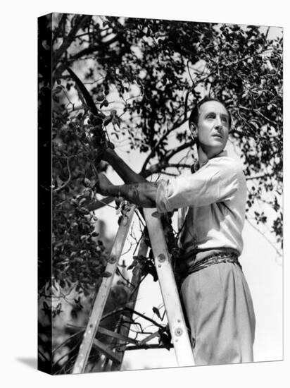 Basil Rathbone, c.1944-null-Stretched Canvas