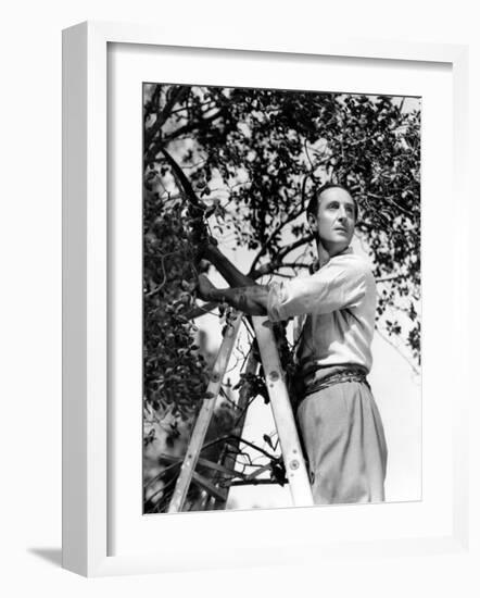 Basil Rathbone, c.1944-null-Framed Photo