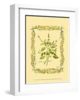 Basil-Wendy Russell-Framed Art Print