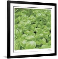 Basil-Stacy Bass-Framed Limited Edition