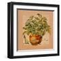 Basilic pot-Lizie-Framed Art Print