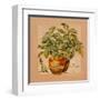 Basilic pot-Lizie-Framed Art Print