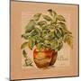 Basilic pot-Lizie-Mounted Art Print