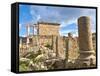 Basilica and Temple Des Septimes at the Roman Ruins of Djemila, Algeria, North Africa, Africa-Michael Runkel-Framed Stretched Canvas