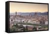 Basilica Di Santa Maria Del Fiore (Duomo) and Skyline of the City of Florencetuscany, Italy, Europe-Julian Elliott-Framed Stretched Canvas