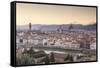 Basilica Di Santa Maria Del Fiore (Duomo) and Skyline of the City of Florencetuscany, Italy, Europe-Julian Elliott-Framed Stretched Canvas