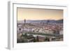 Basilica Di Santa Maria Del Fiore (Duomo) and Skyline of the City of Florencetuscany, Italy, Europe-Julian Elliott-Framed Photographic Print