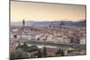 Basilica Di Santa Maria Del Fiore (Duomo) and Skyline of the City of Florencetuscany, Italy, Europe-Julian Elliott-Mounted Photographic Print