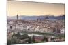 Basilica Di Santa Maria Del Fiore (Duomo) and Skyline of the City of Florencetuscany, Italy, Europe-Julian Elliott-Mounted Photographic Print