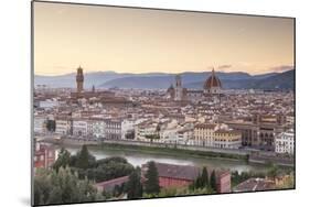 Basilica Di Santa Maria Del Fiore (Duomo) and Skyline of the City of Florencetuscany, Italy, Europe-Julian Elliott-Mounted Photographic Print