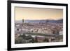 Basilica Di Santa Maria Del Fiore (Duomo) and Skyline of the City of Florencetuscany, Italy, Europe-Julian Elliott-Framed Photographic Print