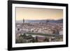 Basilica Di Santa Maria Del Fiore (Duomo) and Skyline of the City of Florencetuscany, Italy, Europe-Julian Elliott-Framed Photographic Print