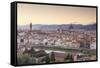 Basilica Di Santa Maria Del Fiore (Duomo) and Skyline of the City of Florencetuscany, Italy, Europe-Julian Elliott-Framed Stretched Canvas