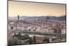 Basilica Di Santa Maria Del Fiore (Duomo) and Skyline of the City of Florencetuscany, Italy, Europe-Julian Elliott-Mounted Photographic Print