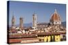 Basilica Di Santa Maria Del Fiore (Duomo), Florencetuscany, Italy, Europe-Julian Elliott-Stretched Canvas