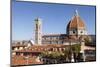 Basilica Di Santa Maria Del Fiore (Duomo), Florencetuscany, Italy, Europe-Julian Elliott-Mounted Photographic Print