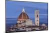 Basilica Di Santa Maria Del Fiore (Duomo), Florencetuscany, Italy, Europe-Julian Elliott-Mounted Photographic Print