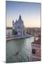 Basilica di Santa Maria della Salute, Grand Canal, Venice, Italy-Jon Arnold-Mounted Photographic Print