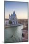 Basilica di Santa Maria della Salute, Grand Canal, Venice, Italy-Jon Arnold-Mounted Photographic Print