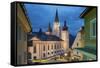 Basilica in the Place of Pilgrimage Mariazell, Styria, Austria-Rainer Mirau-Framed Stretched Canvas