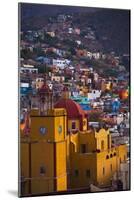 Basilica of Our Lady of Guanajuato-Craig Lovell-Mounted Photographic Print