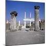 Basilica of Pompei-null-Mounted Photographic Print