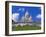 Basilica of Sacre Coeur, Montmartre, Paris, France, Europe-Gavin Hellier-Framed Photographic Print