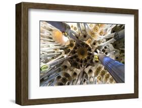 Basilica of Sagrada Familia by Architect Antoni Gaudi in Barcelona, Catalonia, Spain.-Carlos Sanchez Pereyra-Framed Photographic Print