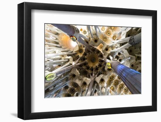 Basilica of Sagrada Familia by Architect Antoni Gaudi in Barcelona, Catalonia, Spain.-Carlos Sanchez Pereyra-Framed Photographic Print