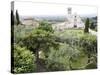 Basilica of San Francesco, and the Valley of Peace, Assisi, Umbria, Italy-Olivieri Oliviero-Stretched Canvas