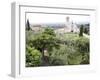 Basilica of San Francesco, and the Valley of Peace, Assisi, Umbria, Italy-Olivieri Oliviero-Framed Photographic Print