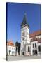 Basilica of St. Egidius in Radnicne Square-Ian Trower-Stretched Canvas