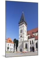 Basilica of St. Egidius in Radnicne Square-Ian Trower-Mounted Photographic Print