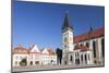 Basilica of St. Egidius in Radnicne Square-Ian Trower-Mounted Photographic Print