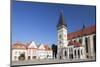 Basilica of St. Egidius in Radnicne Square-Ian Trower-Mounted Photographic Print