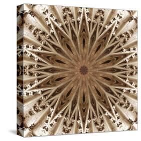 Basilica of St. Nazaire-LaGrave Designs-Stretched Canvas