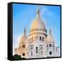 Basilica Sacré Cœur-Tosh-Framed Stretched Canvas