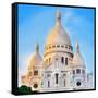 Basilica Sacré Cœur-Tosh-Framed Stretched Canvas