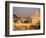 Basilica San Pietro and Ponte Sant Angelo, The Vatican, Rome, Italy-Walter Bibikow-Framed Photographic Print