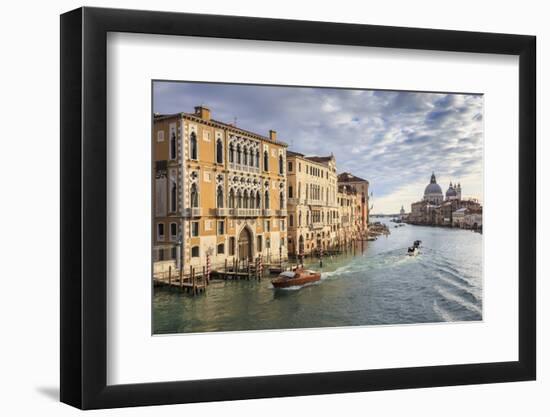 Basilica Santa Maria della Salute, from Accademia bridge, in winter morning sun, Venice, UNESCO Wor-Eleanor Scriven-Framed Photographic Print