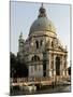 Basilica Santa Maria Della Salute, on the Grand Canal, Venice, Veneto, Italy, Europe-Peter Richardson-Mounted Photographic Print