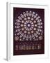 Basilique de Saint-Denis, Rose du transept sud-null-Framed Giclee Print