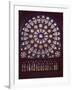 Basilique de Saint-Denis, Rose du transept sud-null-Framed Giclee Print