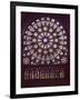 Basilique de Saint-Denis, Rose du transept sud-null-Framed Giclee Print