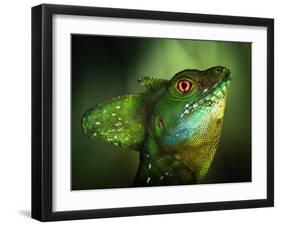 Basilisca Verde-Jimmy Hoffman-Framed Photographic Print