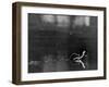 Basilisk Lizard of Mexico "Running" on the Water-Ralph Morse-Framed Photographic Print