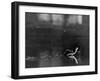 Basilisk Lizard of Mexico "Running" on the Water-Ralph Morse-Framed Photographic Print