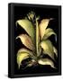 Essential Black