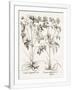 Gramercy White